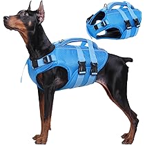 犬用　ライフジャケット　ラフウェア　大型犬　XL cwjsy.jpg