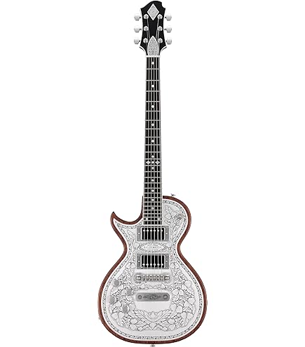 Amazon | Zemaitis ゼマイティス Metal Fronts MFG-AC-24, Black