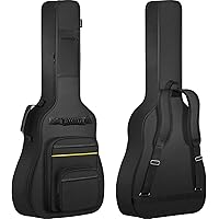Zenn ベース用 ギグバッグ エレキベース 弦楽器 ケース PLAYTECH(旧ZENN） ( プレイテックゼン ) Acoustic Bass Bag