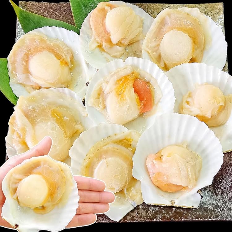 えびホタテ ボタンエビとほたて貝柱セット かに太郎