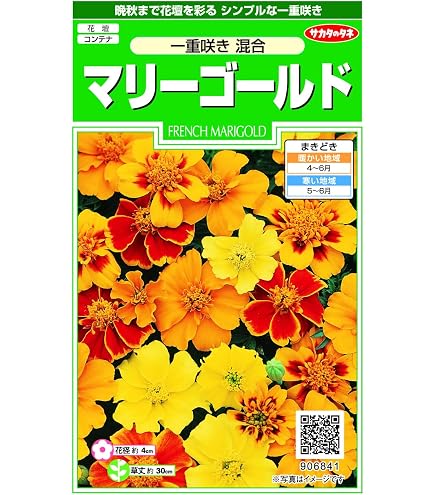 Amazon.co.jp: 株式会社トーホク フレンチ系マリーゴールド(赤) 04341