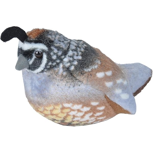 stuffed mockingbird