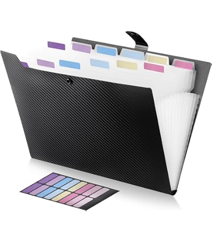 Amazon | Shinkito ドキュメントファイル 8ポケット ファイルケース a4