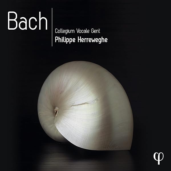 その他 Philippe Herreweghe - The Harmonia Mund Amazon.co.jp: Philippe Herreweghe - The Harmonia Mundi Years