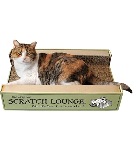 Amazon | オーエフティー サスティナブリーユアーズ MULTI-CAT Plus