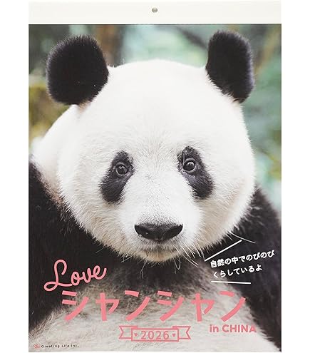Amazon | グリーティングライフ 2026年 カレンダー パンダ FD C-1693