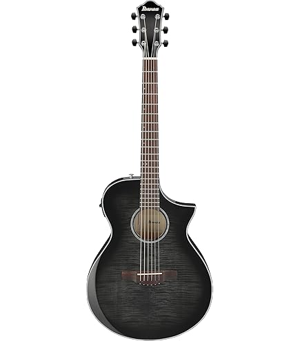 Amazon | Ibanez アイバニーズ AEシリーズ エレクトリック