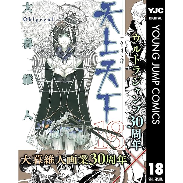 天上天下 15巻21巻22巻ドレスアップクリアカバー　 大暮維人 天上天下 15巻21巻22巻ドレスアップクリアカバー 大暮維人