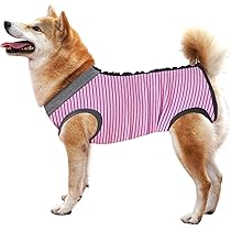 術後ウェア 傷口保護 傷舐め防止 ボタンタイプ クリスマス レッド Amazon | Due Felice 犬 術後服 術後ウェア エリザベスカラーに