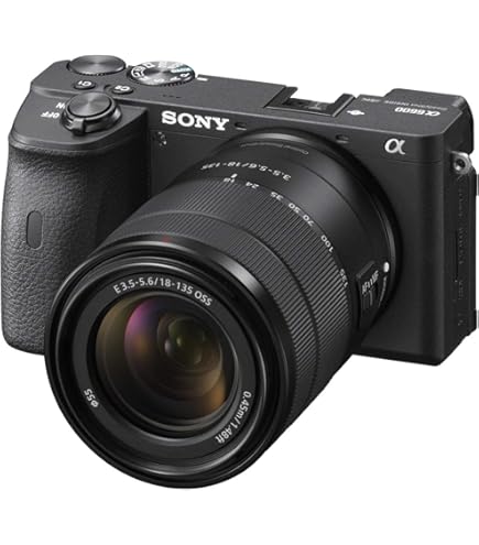 Amazon | 【整備済み品】 ソニー SONY ミラーレス一眼 α6600 ボディ
