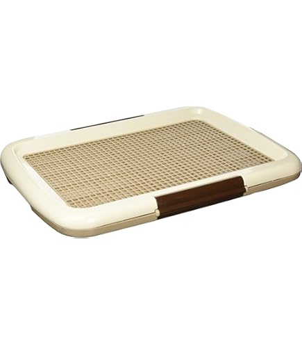 Amazon | 花王ワンだふる清潔トイレセット レギュラーサイズ