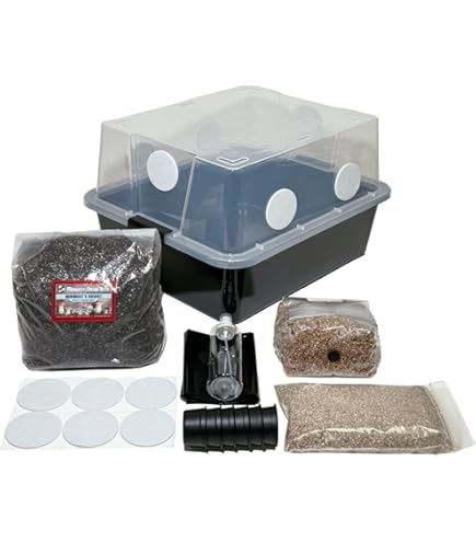 Amazon.co.jp: Surfin' Spores Mushroom Grow Kit | 4ポンド