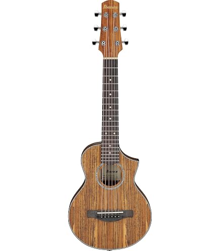 Amazon | ARIA アリア ミニアコースティックギター ASA-18 N ケース