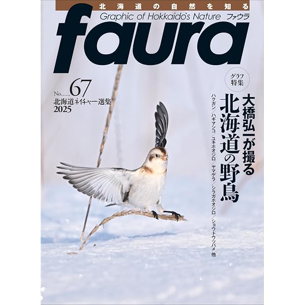 増補新版 北海道野鳥ハンディガイド | 大橋 弘一, 谷口 高司 |本