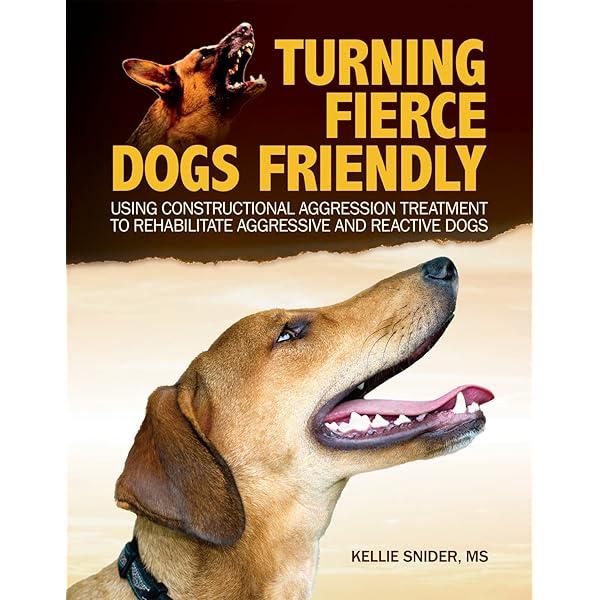 reactive aggression dogs