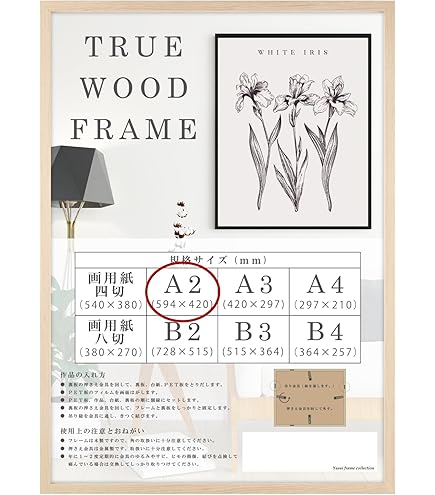 Amazon.co.jp: わんぱく旋風 1963 -レイモン・サヴィニャック