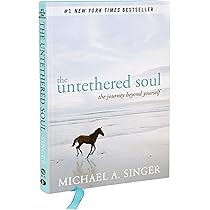 The Untethered Soul: The Journey Beyond Yourself : Singer, Michael