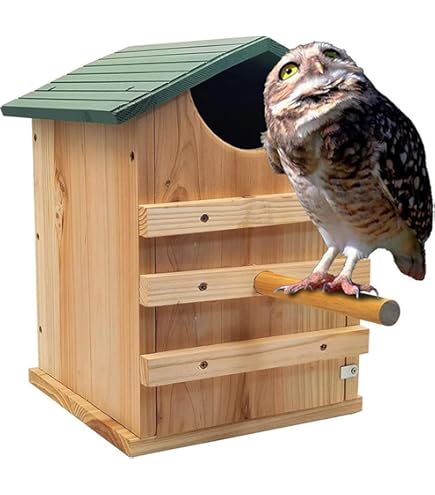 Amazon.co.jp: フクロウハウス フクロウボックス フクロウ