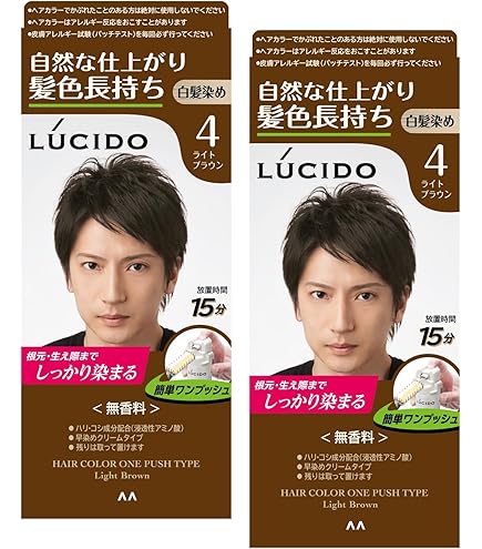 まとめ売りお買い得！！白髪染め1ブラウン ルシード ワンプッシュケアカラー アッシュブラウン ( 50g+50g