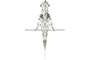 Fate/Grand Order material XVII (TYPE-MOON BOOKS)