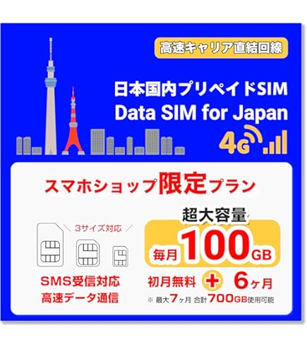 Amazon.co.jp: softbank 100GB prepaid DATA通信 SIM (6ケ月プラン 