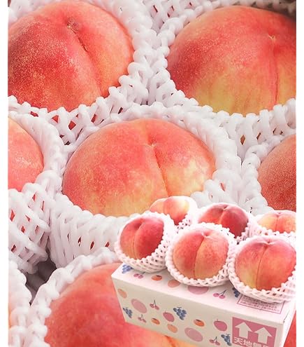 硬い桃山形県産(CX／シーエックス)専用 白桃 CX(シーエックス) 2.5kg入り 硬い桃 大玉 山形県産 【令和8年産