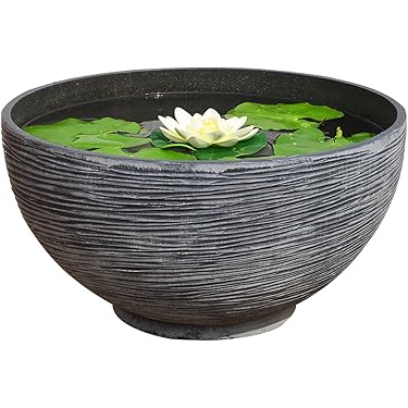 日曜日 WEBカタログ 金魚鉢 陶器 装飾 水槽 屋外 蓮 睡蓮 飼育盆地 中庭 庭 水槽