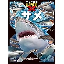 Amazon.co.jp: サメ (学研の図鑑LIVEエクストリーム) : アクアワールド