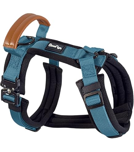 Amazon | Carhartt(カーハート) ナイロンダック 引っ張り不要 犬用