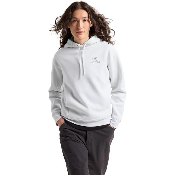 Amazon.co.jp: [アークテリクス] ARCTERYX エンブレムフリースフーディ