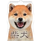 Amazon 22年 犬川柳 週めくり カレンダー Vol 005 カレンダー 文房具 オフィス用品