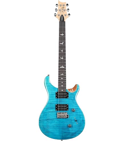 Amazon | Paul Reed Smith (PRS) / 2023 SE Custom24 Turquoise(TU