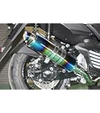 Realize ヤマハ NMAX125/155 Blink SE86J SUS Amazon | Realize NMAX125 NMAX155 バイクマフラー EBJ-SE86J