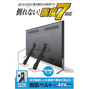 エレコム 耐震ベルト テレビ用 40インチまで対応 ネジどめタイプ TS-005N