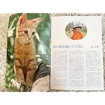 71mosTHpfBL._AC_UL210_SR210,