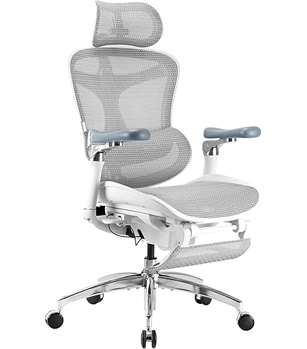 Amazon.co.jp: Hara Chair ハラチェア ニーチェ 《標準モデル