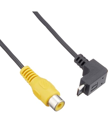 Amazon.co.jp: データシステム MVC811 マルチビューカメラ + NS-1