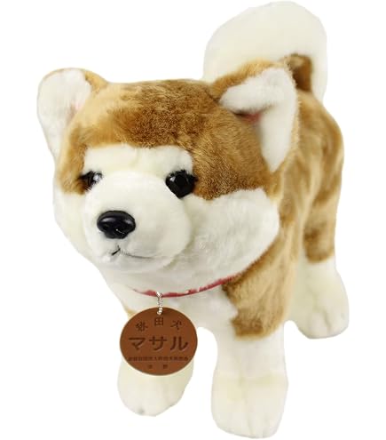 Amazon.co.jp: キュート販売 秋田犬マサル特大 D0033 H65×W60×D65cm