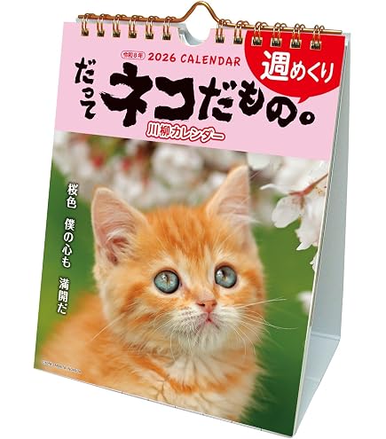 Amazon | アクティブコーポレーション 2026 カレンダー 壁掛け CAT