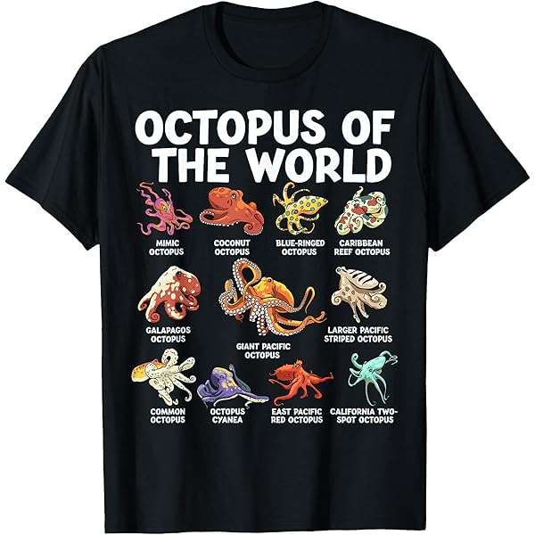 Amazon | Tortoises Of The World カワイイタイプのカメ 面白い