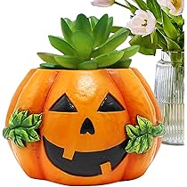 71msgPNYxAL._AC_UL210_SR210,