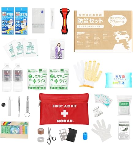 Amazon.co.jp: EVERSAFE 車載用防災セットDX リュックタイプ 防災