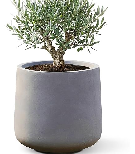 Amazon.co.jp: 植木鉢 大型 コルテス シリンド L 50 グレー : DIY