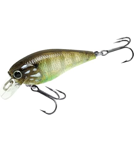 Amazon.co.jp: ラッキークラフトUSA(LUCKY CRAFT)FAT CB BDS マジック