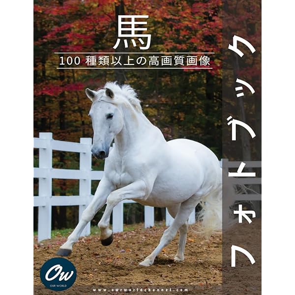 Amazon.co.jp: 世界の美しい馬 チャンピオン馬のポートレートと特長
