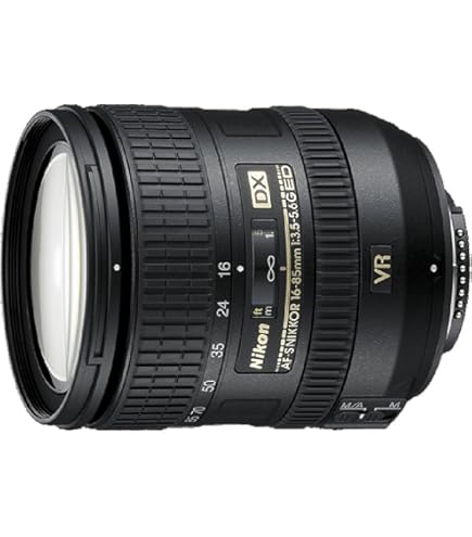 ニコン AF-S DX NIKKOR 16-80mm f/2.8-4E EDVR 81ck1-BlXkL._UF1000,1000_QL80_.jpg