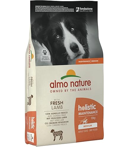 アルモネイチャー　　小型犬用 チキン小粒12kg 小粒 アルモネイチャー 最短賞味2026.10.31・アルモネイチャー 小型犬