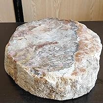 アリゾナ州産 珪化木 大迫力 32kg 木化石 木石 前落札者 アリゾナ州産 珪化木 大迫力 32kg 木化石 木石 前落札者 アリゾナ州産