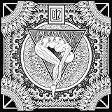 Electro-Soma II [輸入アナログ盤 / クリア・ヴァイナル x 2LP / 世界1000枚限定生産 / DLコード付] (WARPLP9X)_484 [Analog]