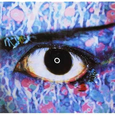 【帯付き】 MAMADRIVE 『カラスと目玉』 マーマードライブ　CD　希少 楽天市場】左右共通形状ショートミラーVer.3 黒8mm正ネジ
